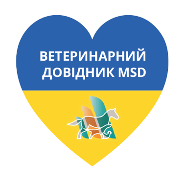 MM Ukraine
