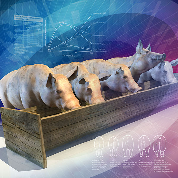 Clinical calculators - Merck Veterinary Manual