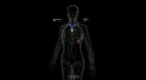biodigital-female-lymphatic-system-pv-sized_es