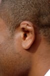 Oreja en forma de col