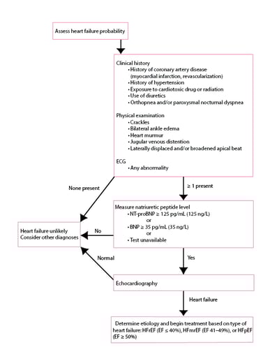 Diagnosis of heart failure of acute onset