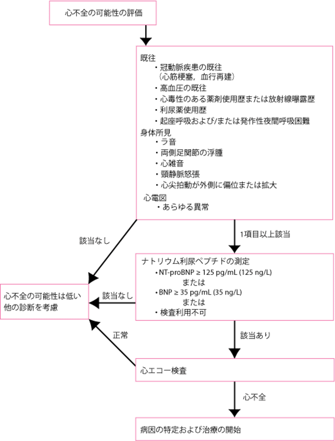 急性発症の心不全の診断