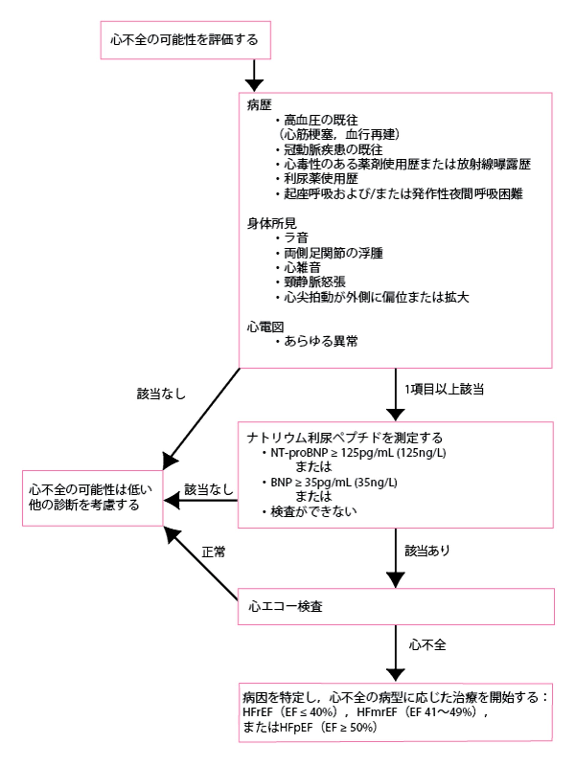 急性発症の心不全の診断