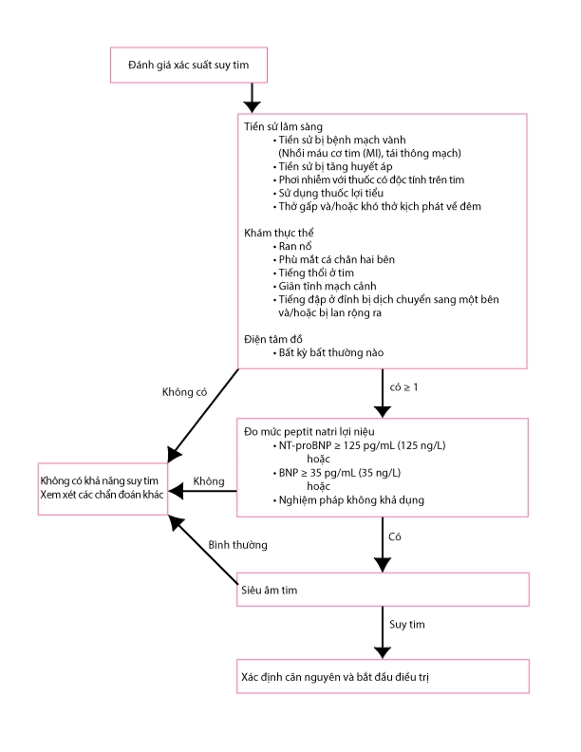 Chẩn đoán suy tim khởi phát cấp tính