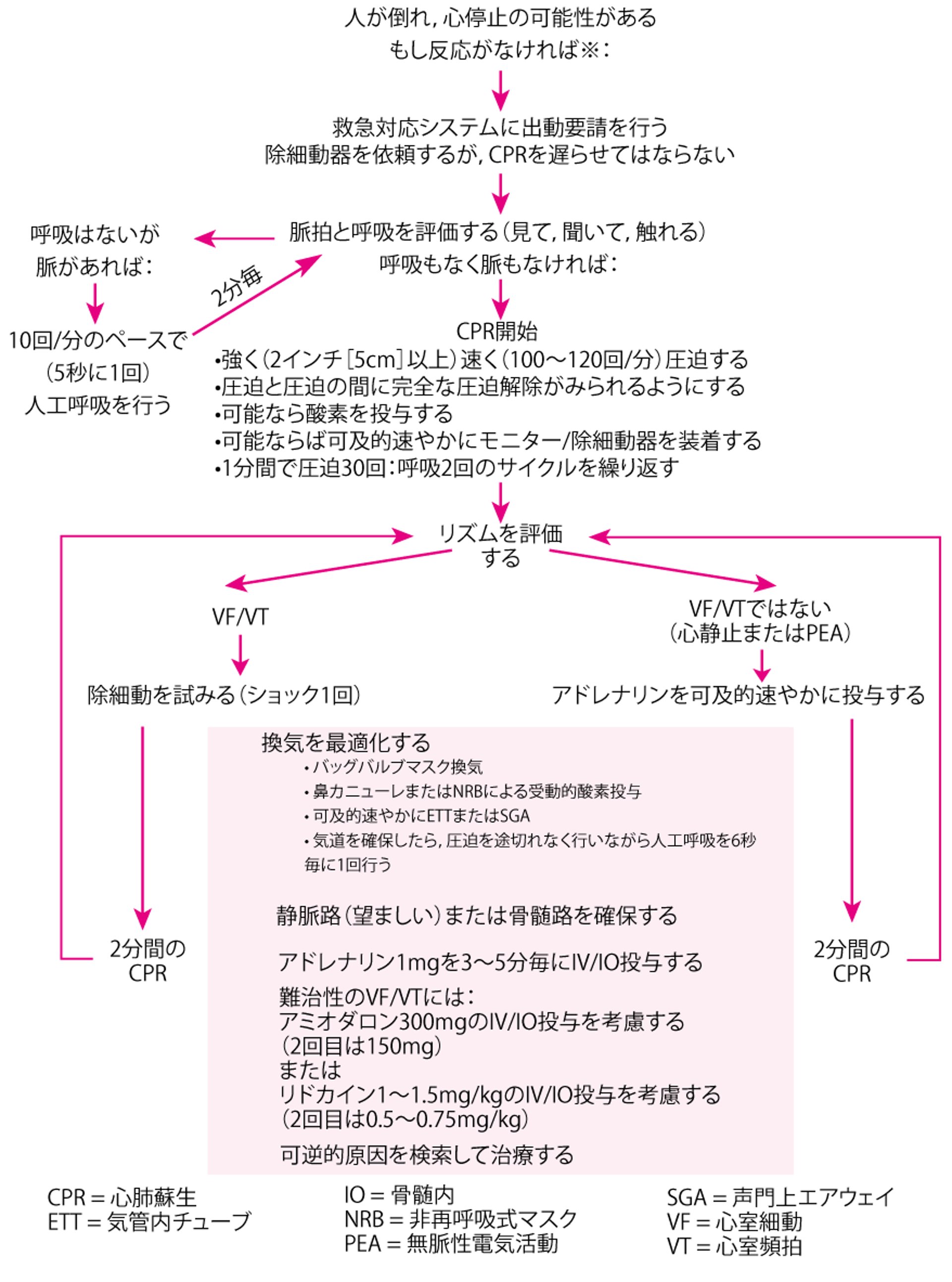 小児における包括的緊急心臓治療