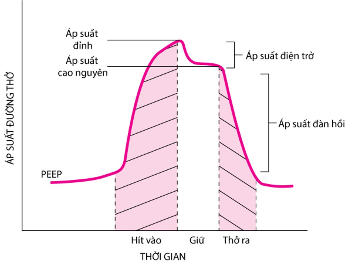 Các thành phần của áp lực đường thở trong quá trình thông khí cơ học, được minh họa bằng nghiệm pháp tạm ngưng hít vào
