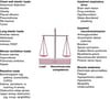 The Balance Between Load (Resistive, Elastic, and Minute Ventilation) and Neuromuscular Competence (Drive, Transmission, and Muscle Strength) Determines the Ability to Sustain Alveolar Ventilation