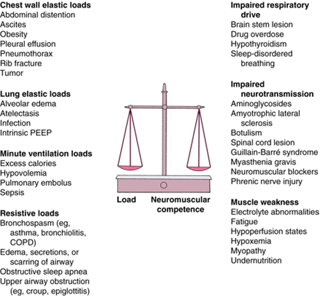 The Balance Between Load (Resistive, Elastic, and Minute Ventilation) and Neuromuscular Competence (Drive, Transmission, and Muscle Strength) Determines the Ability to Sustain Alveolar Ventilation