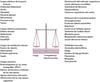 El equilibrio entre la carga (resistiva, elástica y ventilación minuto) y la competencia neuromuscular (impulso, transmisión y fuerza muscular) determina la capacidad para sostener la ventilación alveolar.