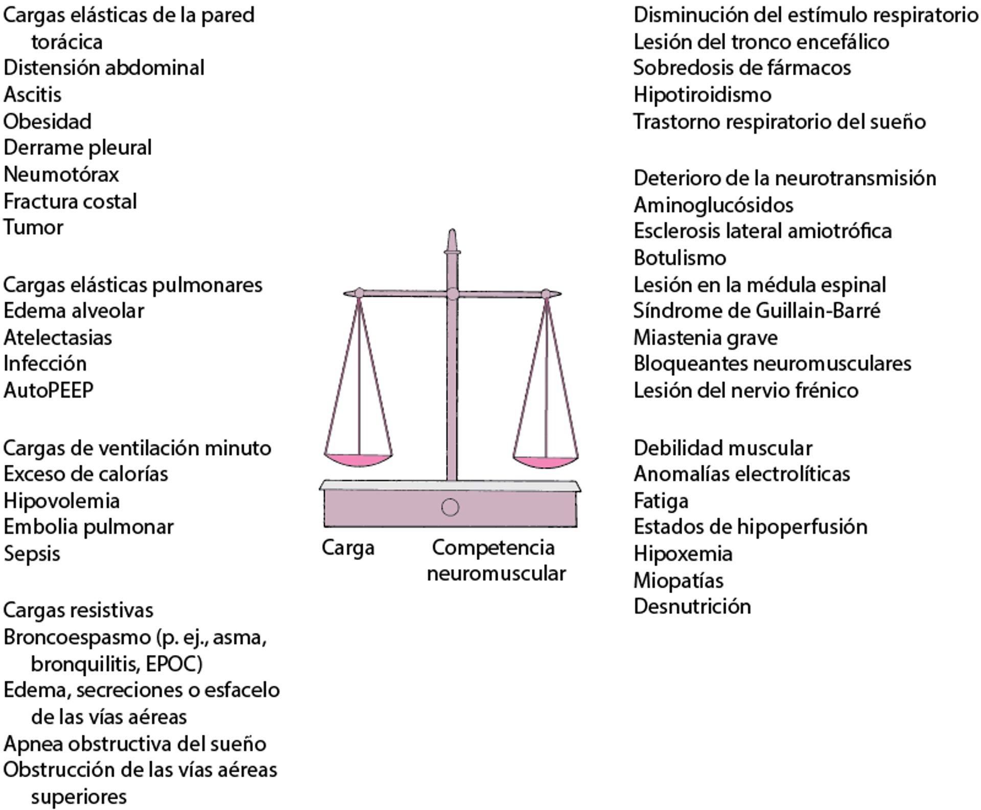 El equilibrio entre la carga (resistiva, elástica y ventilación minuto) y la competencia neuromuscular (impulso, transmisión y fuerza muscular) determina la capacidad para sostener la ventilación alveolar.