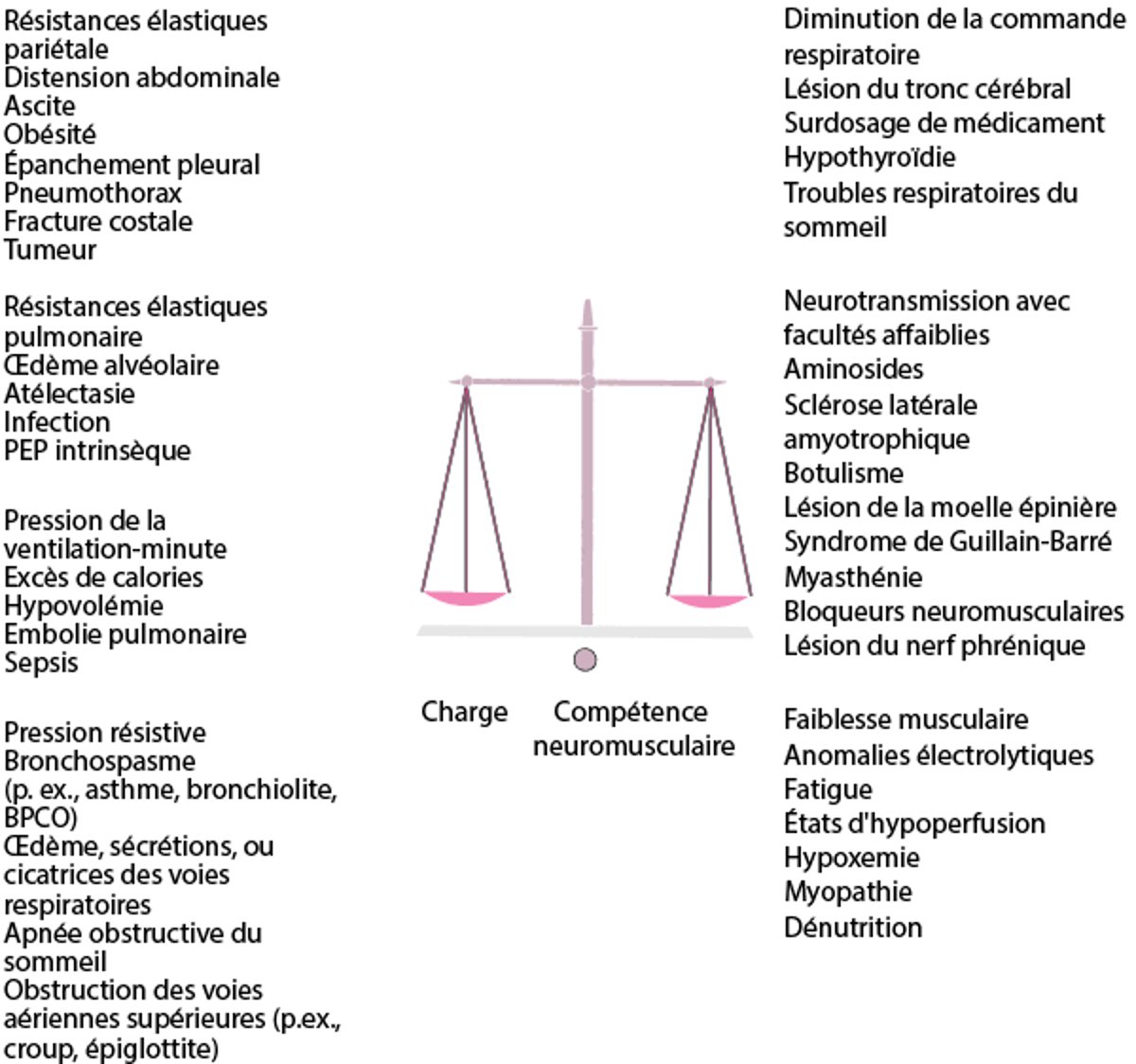 L'équilibre entre charge (résistantes, élastiques et ventilation-minute) et la compétence neuromusculaire (la conduite, la transmission et la force musculaire) détermine la capacité à permettre la ventilation alvéolaire