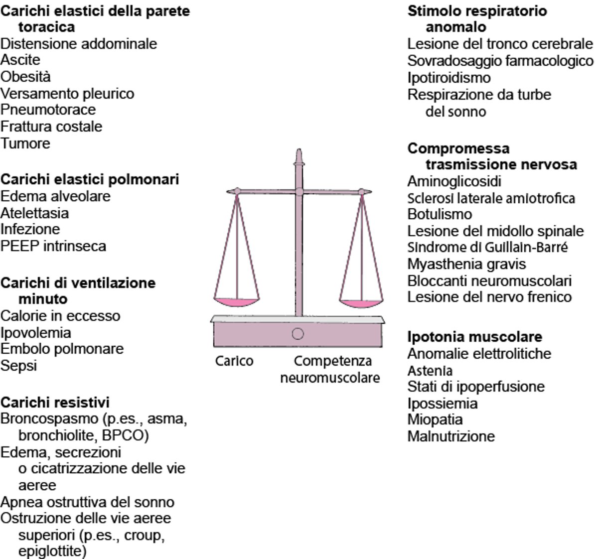 L'equilibrio tra il carico (resistivo, elastico e ventilazione al minuto) e la capacità neuromuscolare (impulso, trasmissione, e forza muscolare) determina la capacità di sostenere la ventilazione alveolare