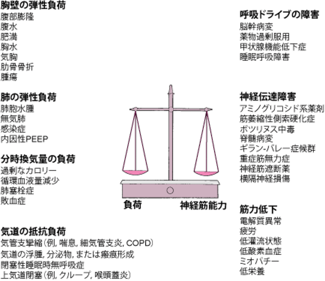 負荷（抵抗，弾性，分時換気量）と神経筋能力（換気ドライブ，伝達能，筋力）のバランスにより，肺胞換気を維持する能力が決まる