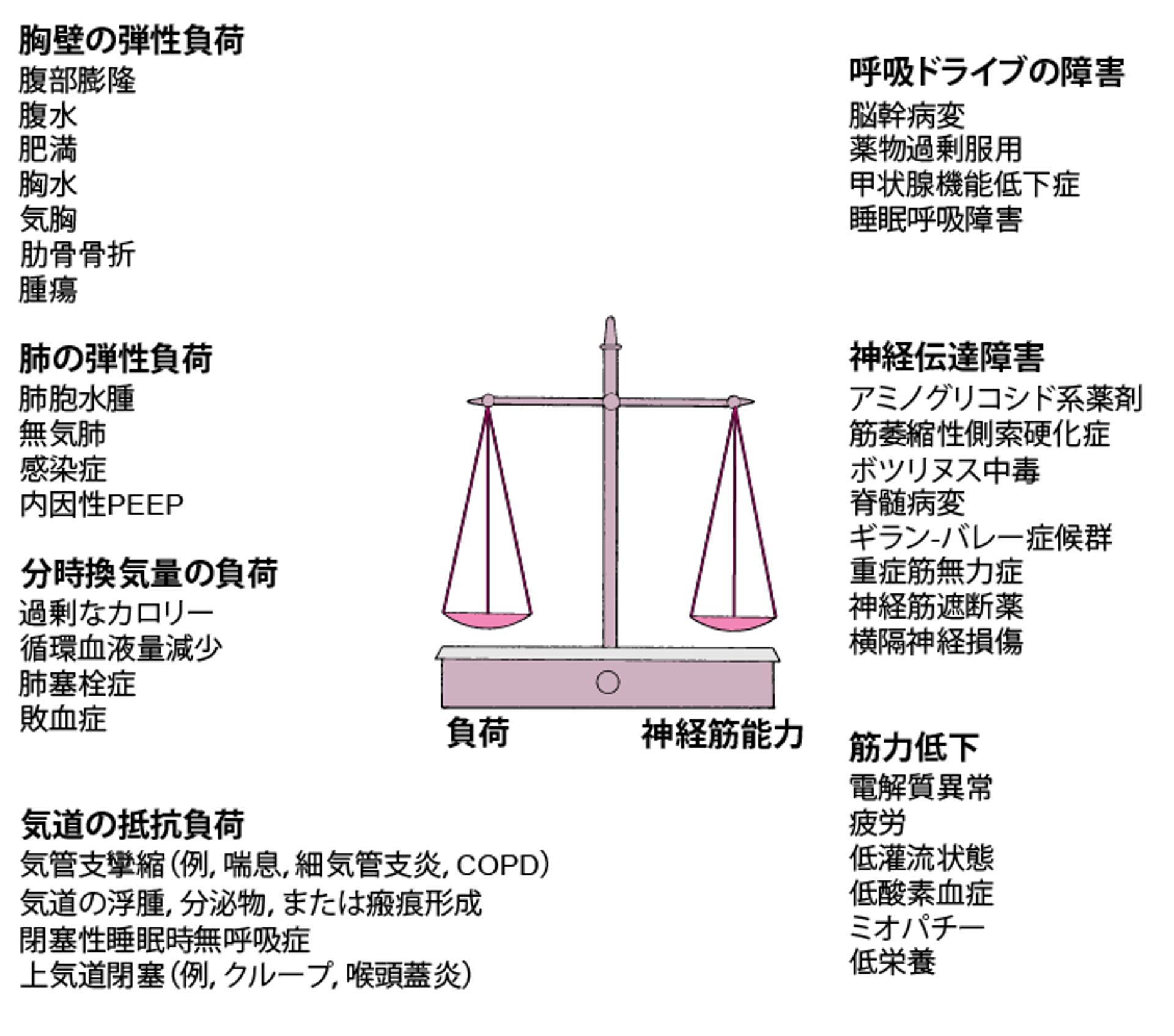 負荷（抵抗，弾性，分時換気量）と神経筋能力（換気ドライブ，伝達能，筋力）のバランスにより，肺胞換気を維持する能力が決まる