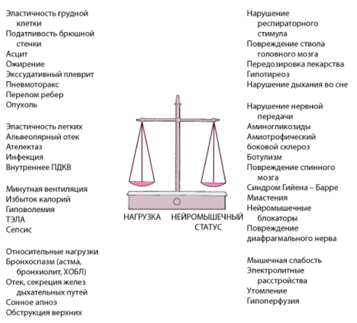 Баланс между нагрузкой и нервно-мышечной работой определяет способность поддерживать альвеолярную вентиляцию