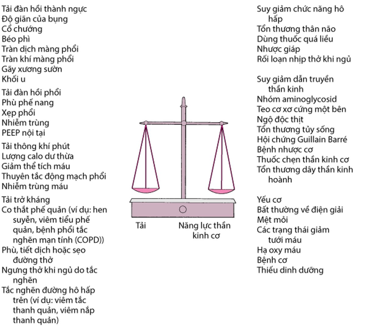 Sự cân bằng giữa tải trọng (thông khí trở kháng, đàn hồi và phút) và năng lực thần kinh cơ (điều khiển, truyền dẫn và sức mạnh cơ bắp) quyết định khả năng duy trì thông khí phế nang