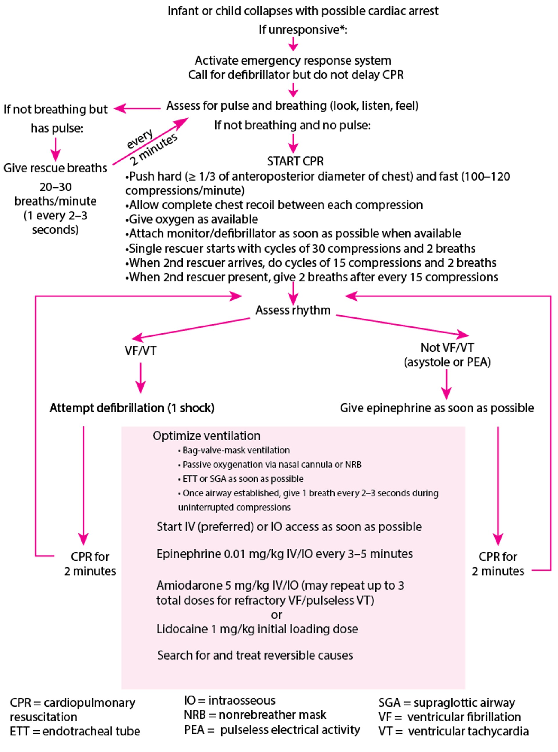Soins cardiaques pédiatriques d'urgence complets
