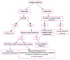 Approccio alle aritmie cardiache