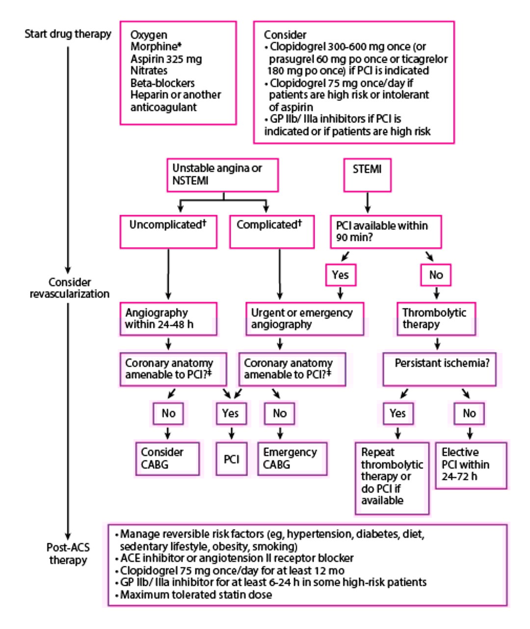 Approach to Acute Coronary Syndromes