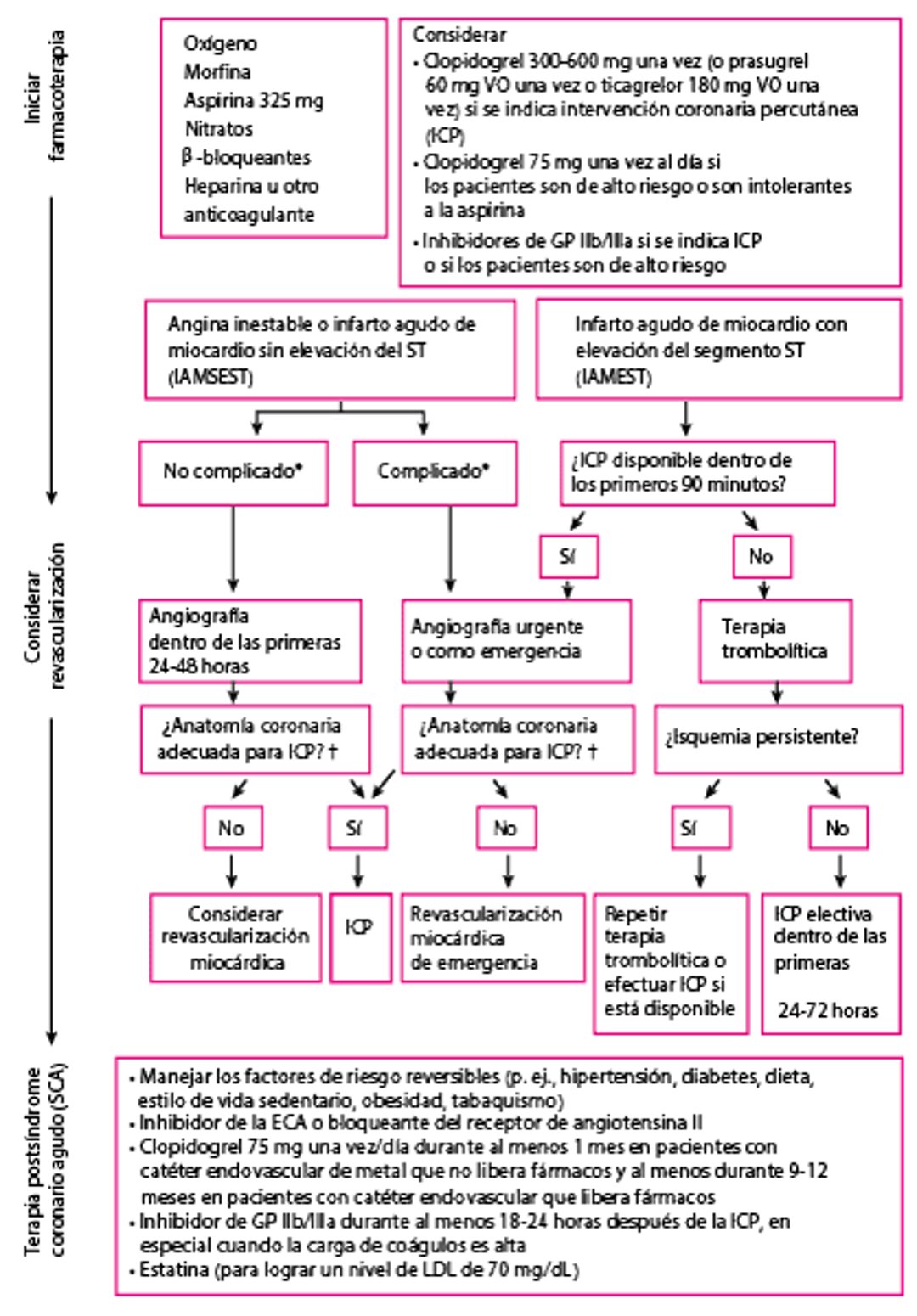 Aproximación a los síndromes coronarios agudos
