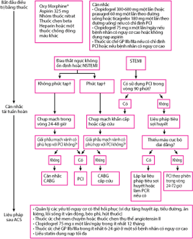 Tiếp cận hội chứng mạch vành cấp tính