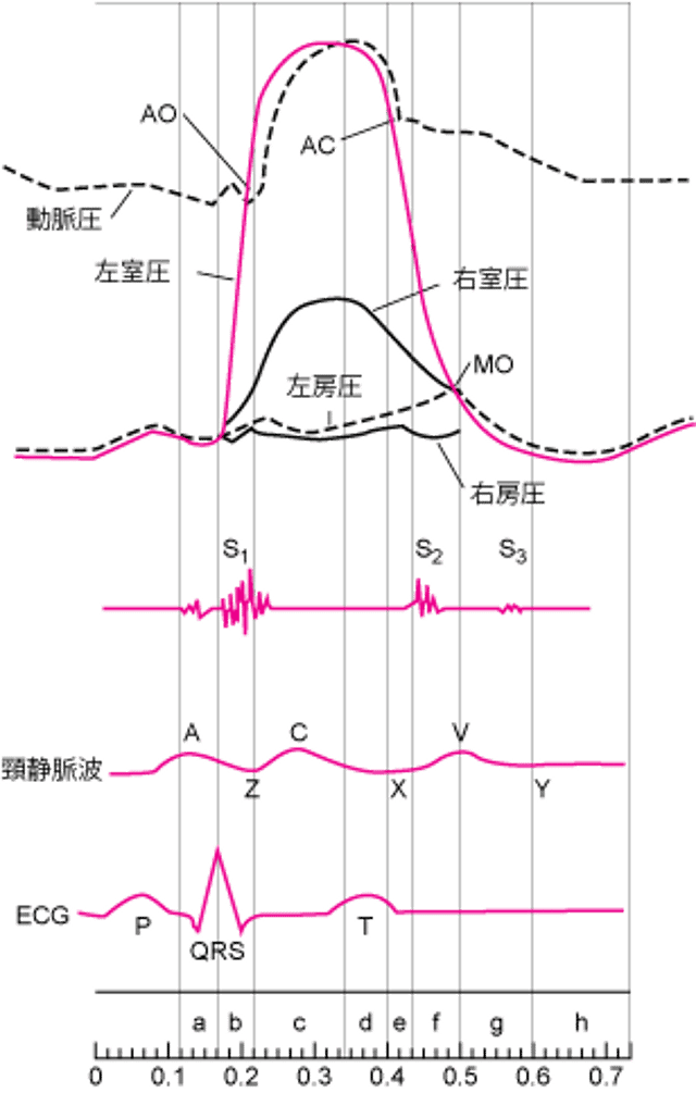 各心腔の内圧曲線，心音，頸静脈波，および心電図で示した心周期の図