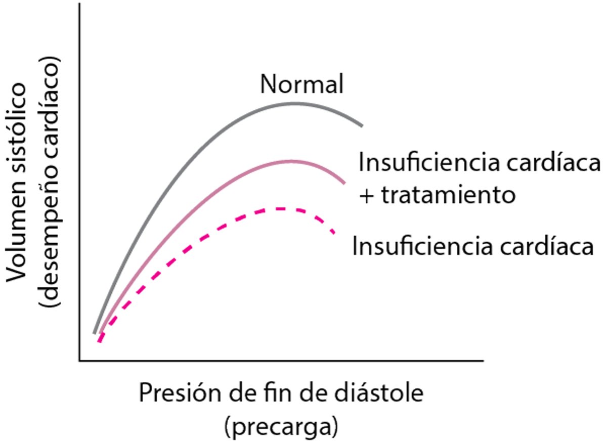 Principio de Frank-Starling