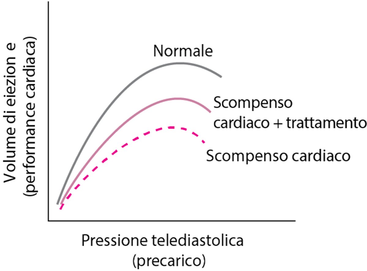 Principio di Frank-Starling