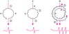 Mechanism of Typical Reentry