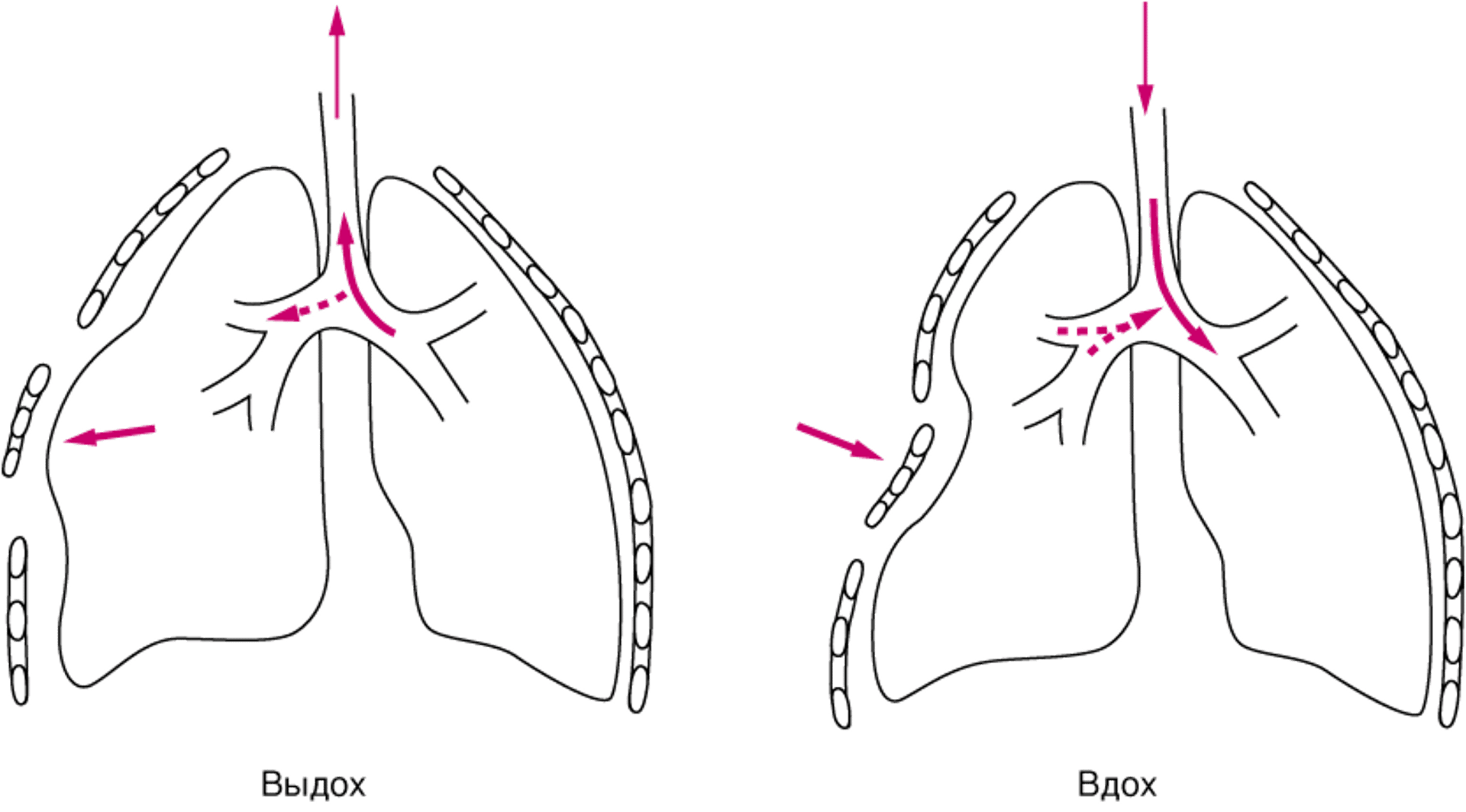 Патологическая подвижность грудной клетки