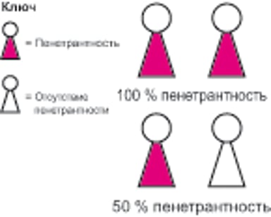 Пенетрантность и экспрессивность