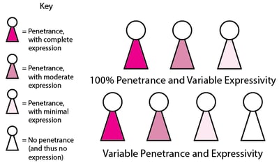 Penetrance and expressivity