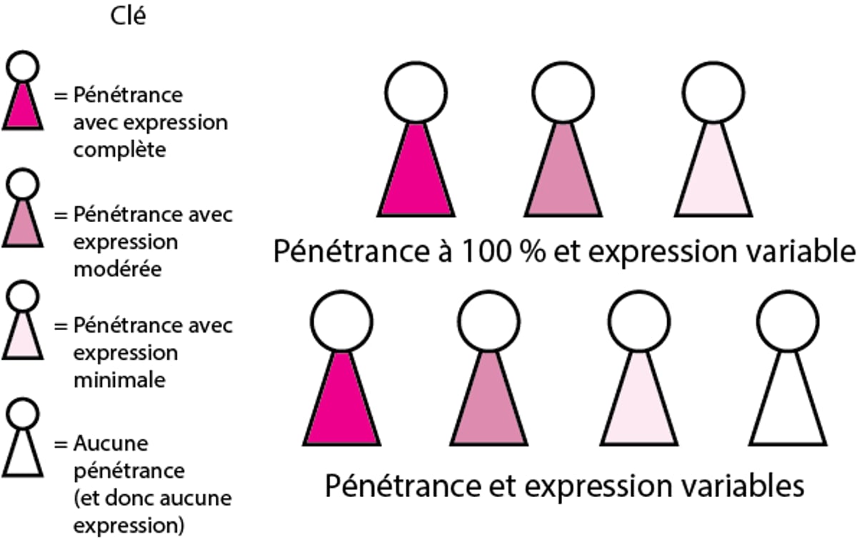 Pénétrance et expressivité
