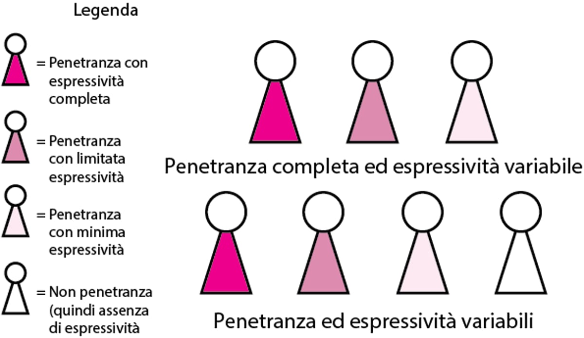 Penetranza ed espressività