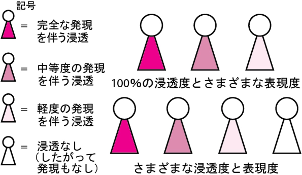 浸透度および表現度
