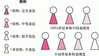 外显率和表现度