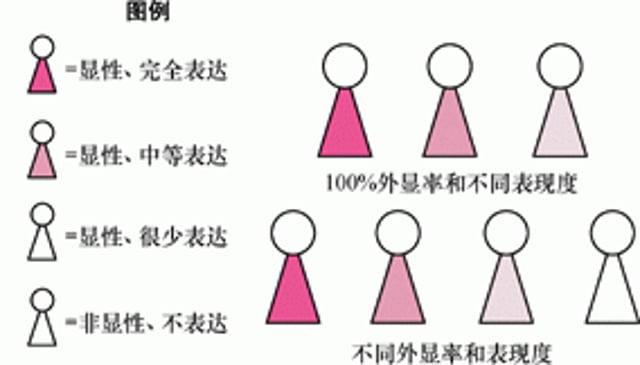 外显率和表现度