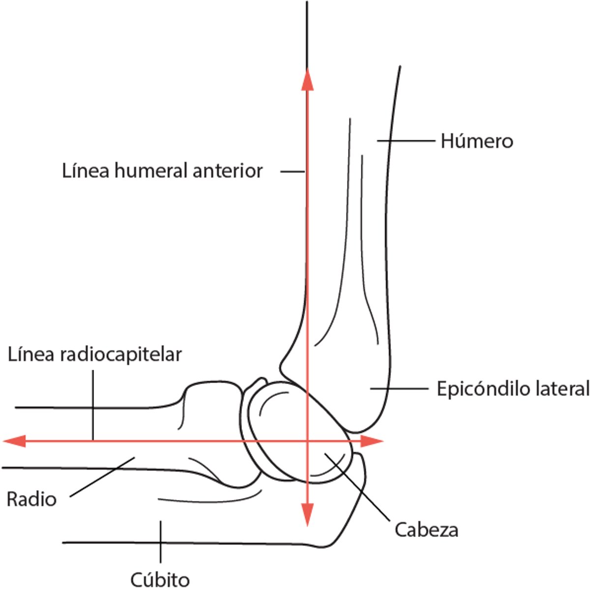 Línea humeral anterior y línea radiocapitelar