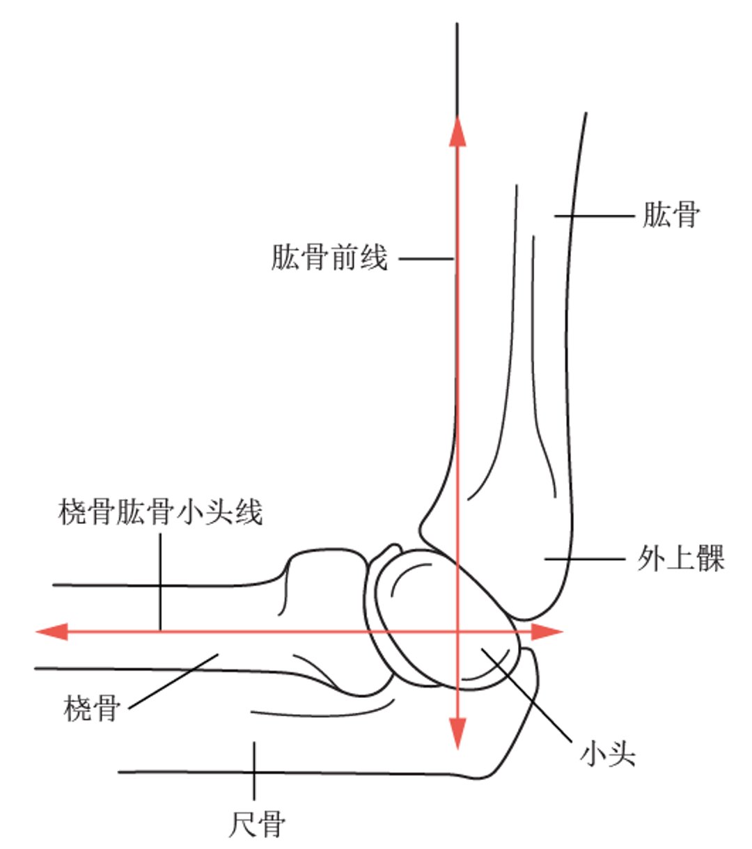 肱骨前线和肱桡关系划线