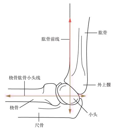 肱骨前线和肱桡关系划线