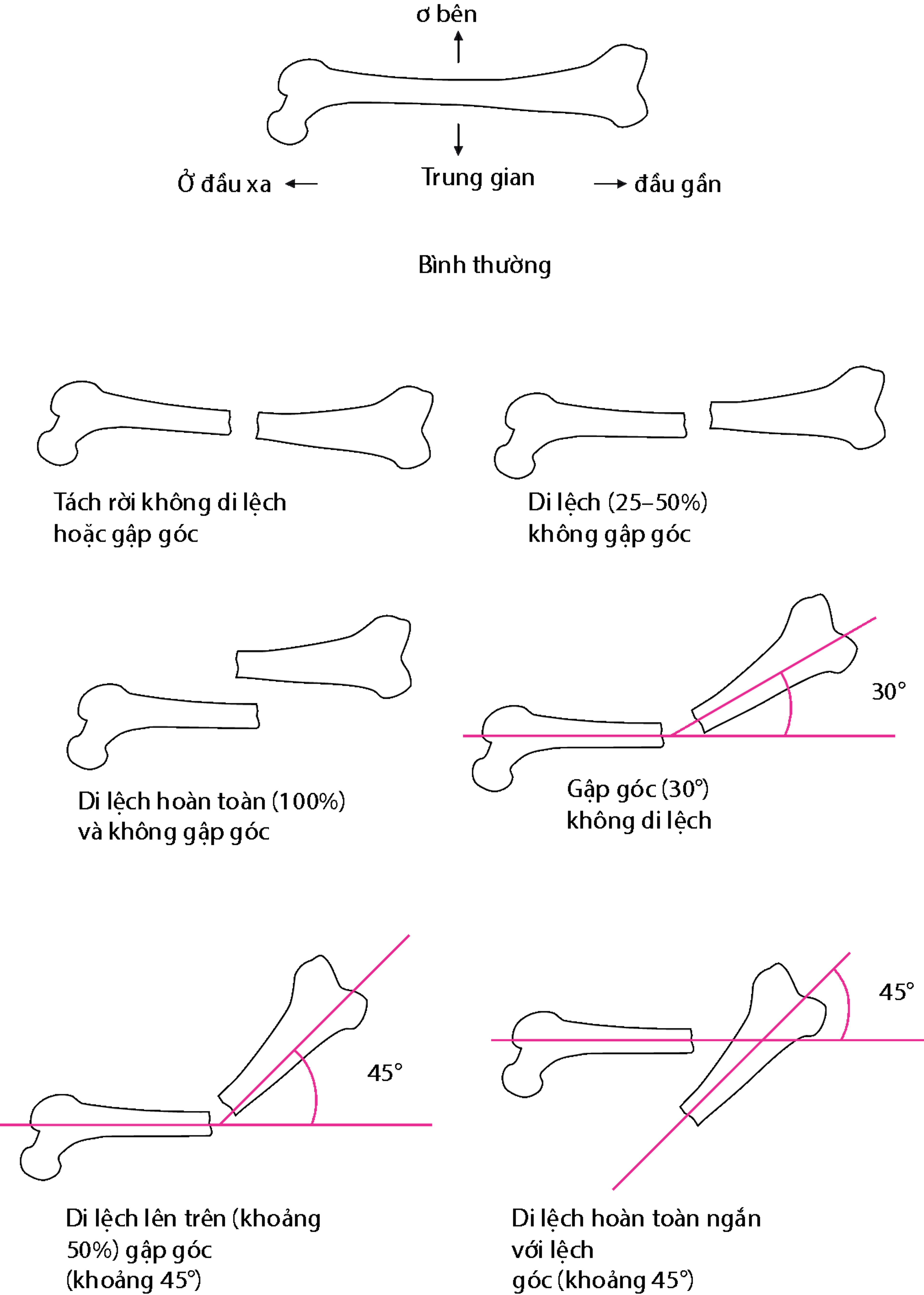 Mối liên hệ các mảnh vỡ