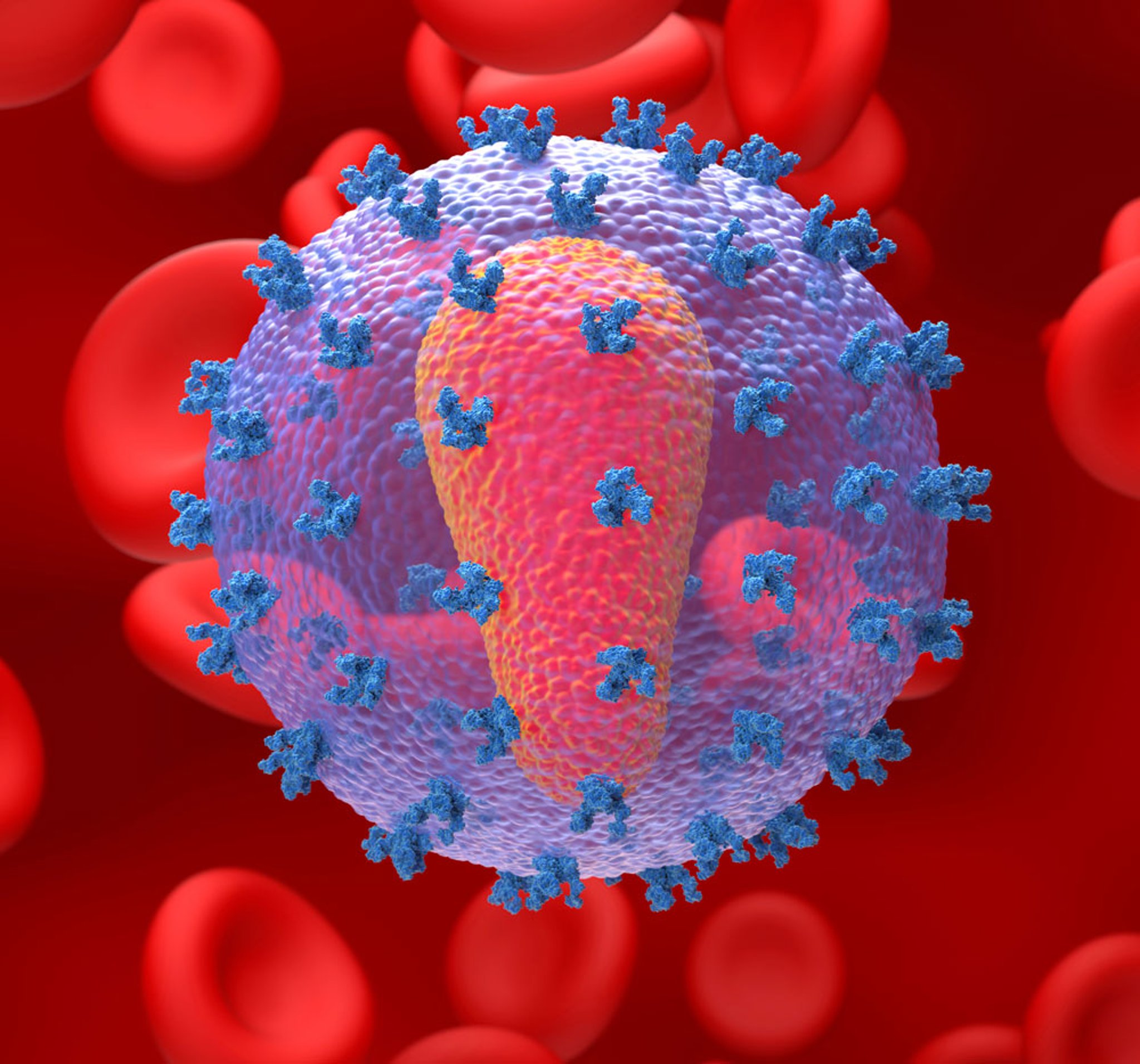 HIV颗粒（示意图）