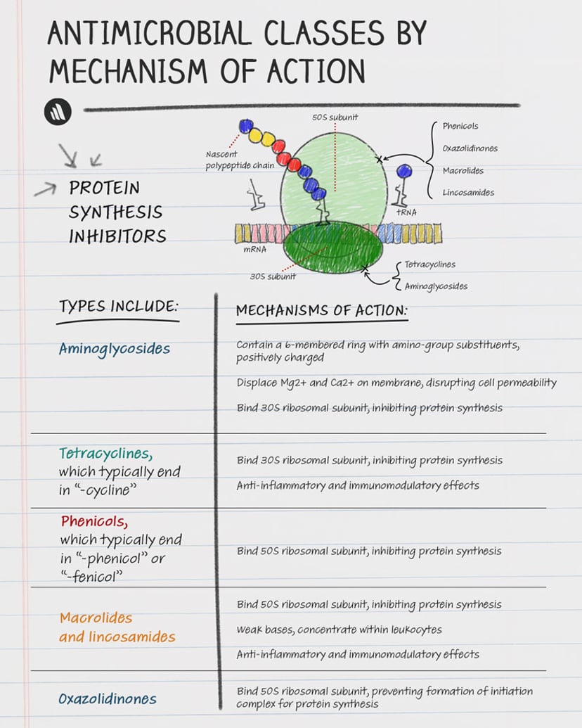 Overview of Antibacterial Medications - Overview of Antibacterial ...