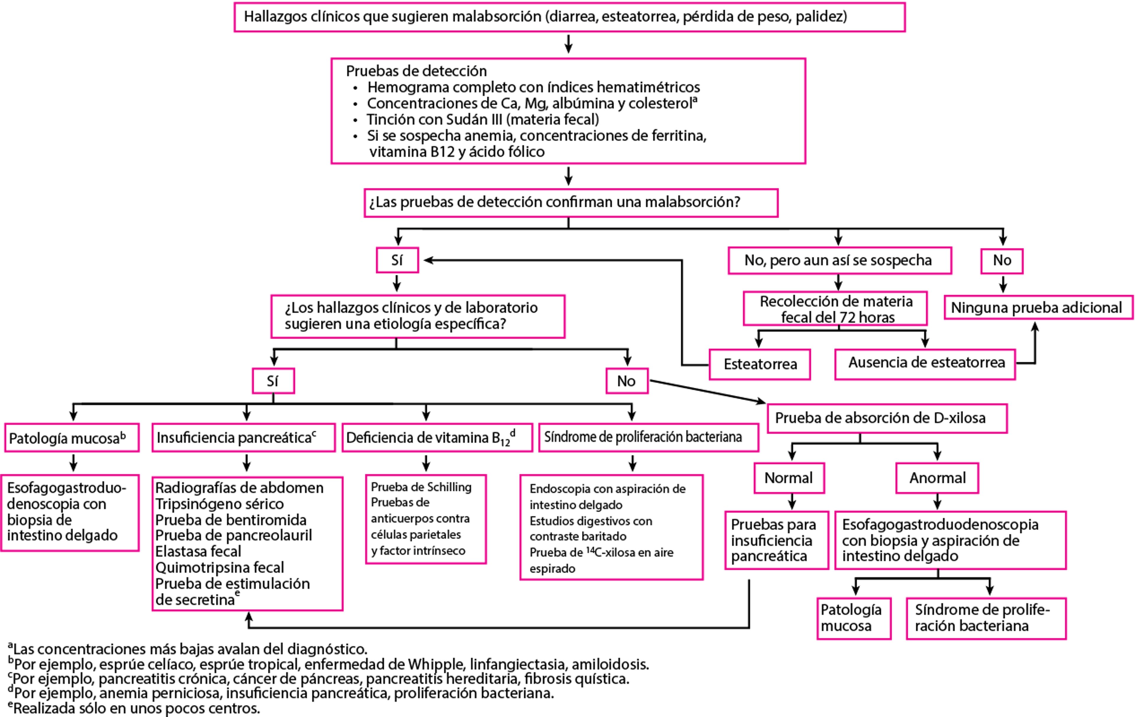 Evaluación sugerida para la malabsorción