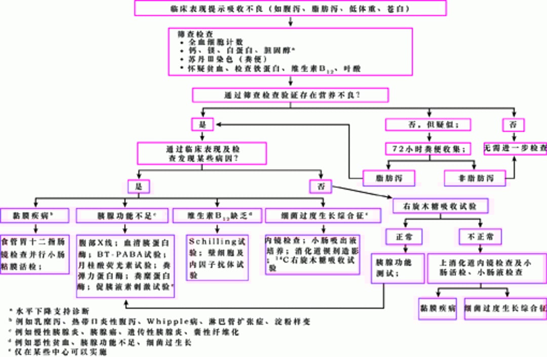 吸收不良的推荐评估方法