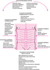 Localisation des douleurs abdominales et causes possibles