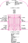 腹痛の部位と考えられる原因