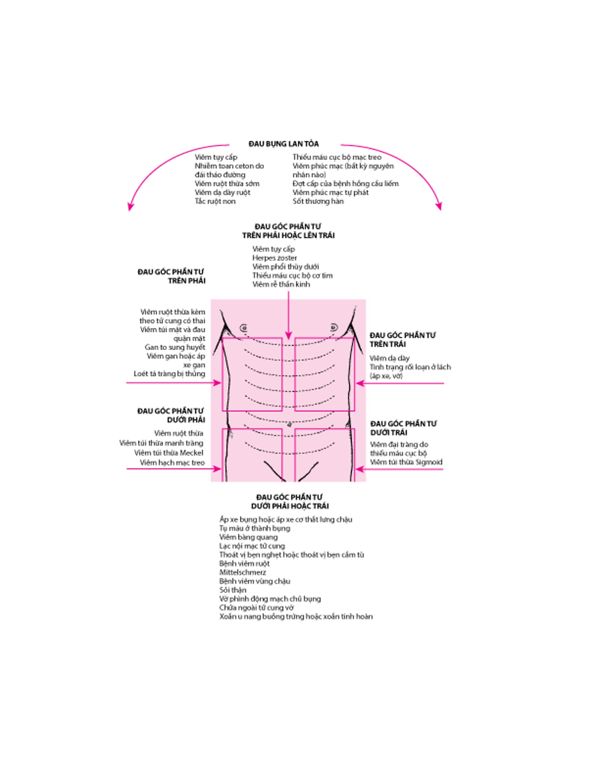 Vị trí của đau bụng và nguyên nhân có thể có
