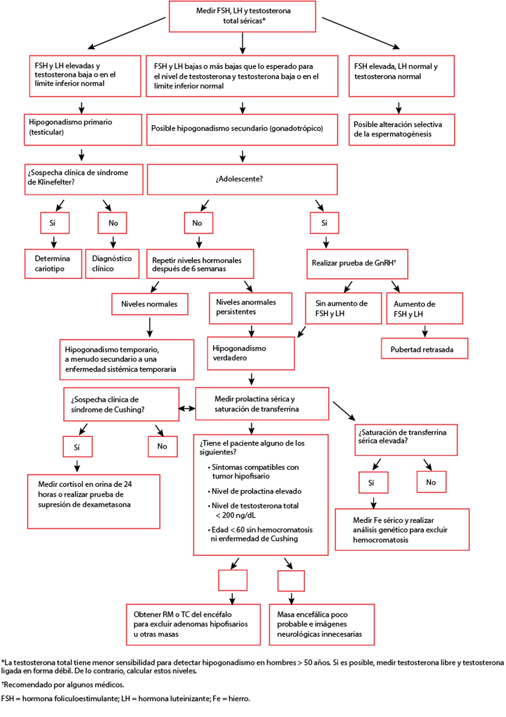 Evaluación en el laboratorio del hipogonadismo masculino