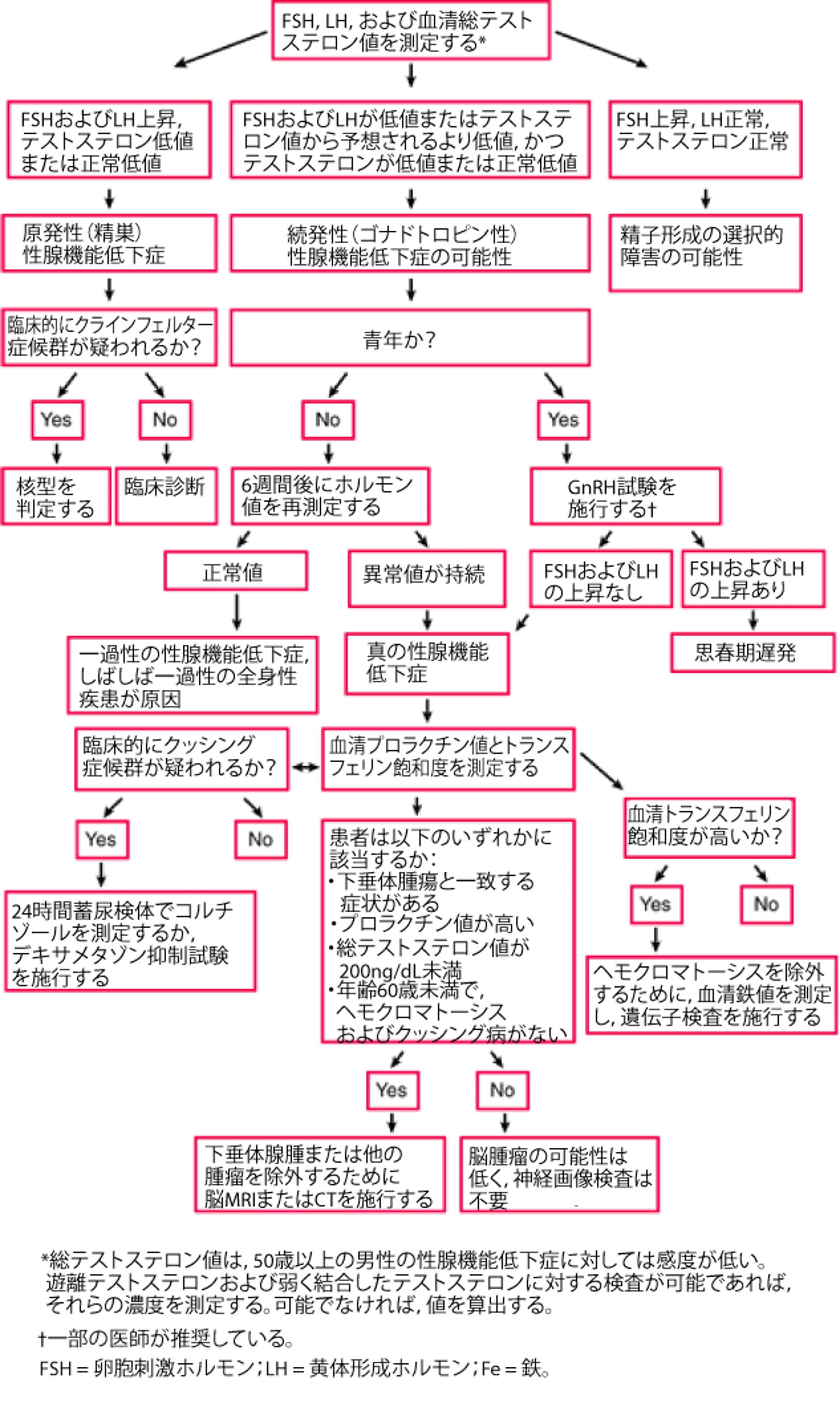 男性性腺機能低下症の臨床検査